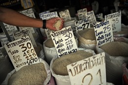 Thái Lan phải bán lỗ 500.000 tấn gạo 